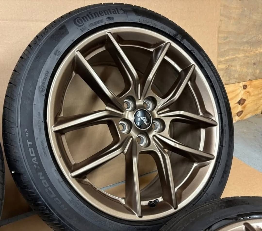 WhatsApp Image 2026-01-08 at 23.21.21 (3) WhatsApp Image 2026-01-08 at 23.21.21 (3)