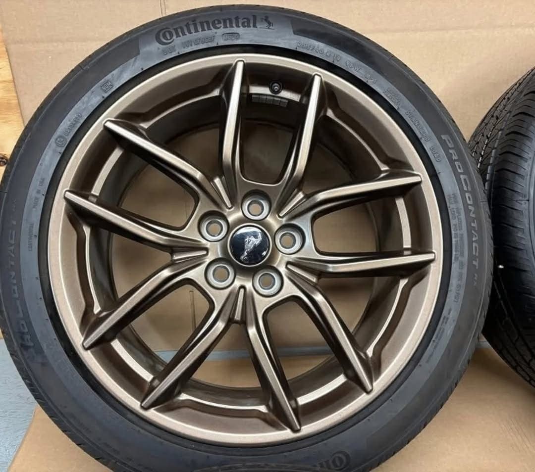 WhatsApp Image 2026-01-08 at 23.21.22 WhatsApp Image 2026-01-08 at 23.21.22