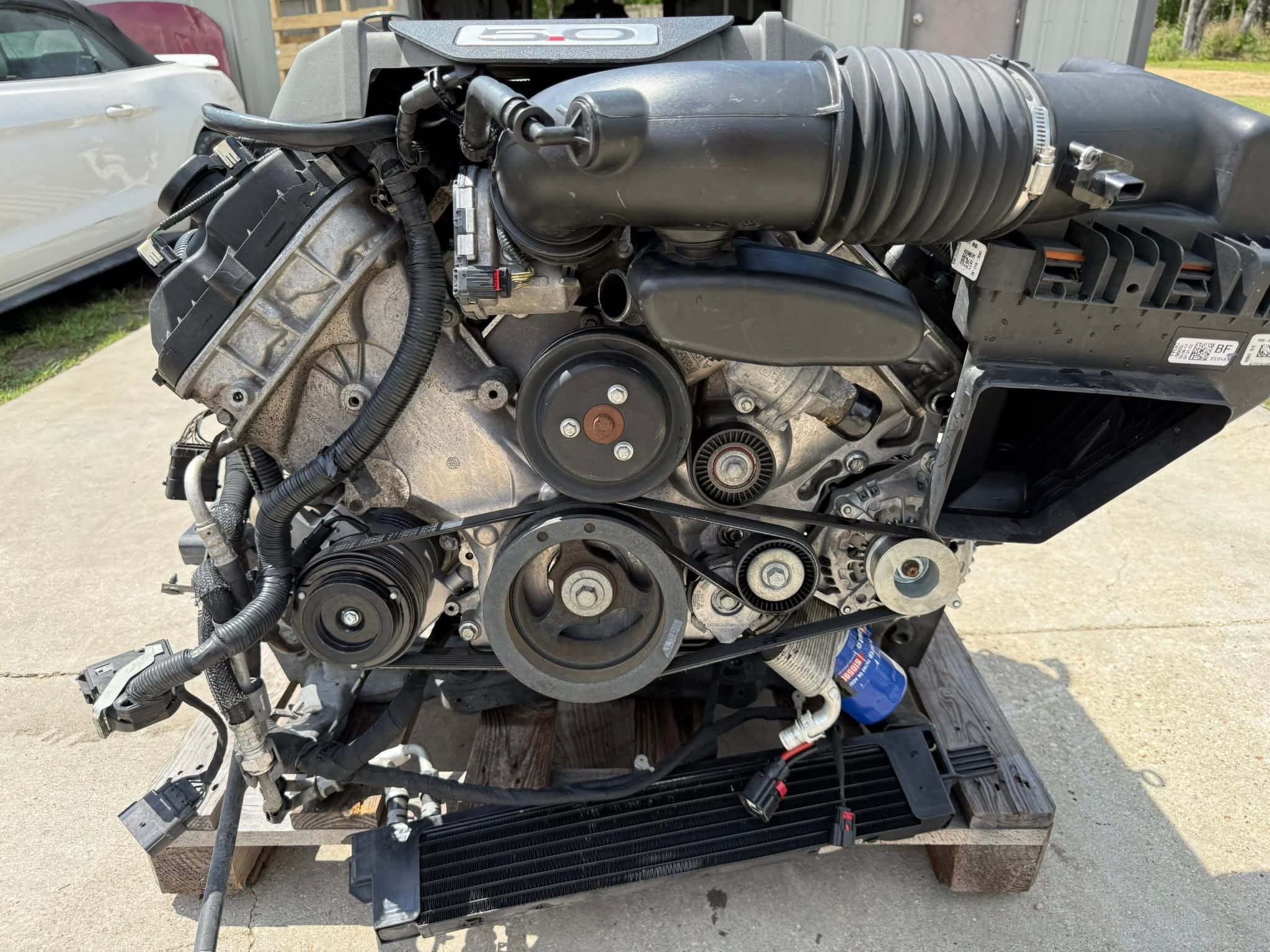 FB_IMG_1775158802943 FB_IMG_1775158802943